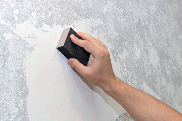 Best Mold Documentation for Insurance Claims  in Mount Kisco, NY