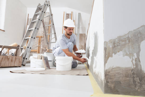 Best Basement Mold Removal  in Mount Kisco, NY