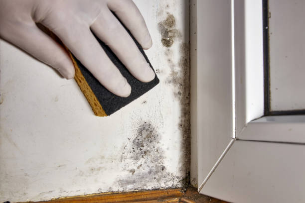 Dehumidification Services in Mount Kisco, NY