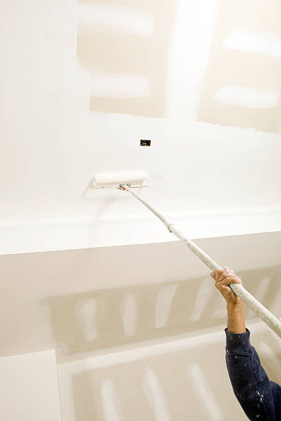 Best Comprehensive Air Testing for Mold Contaminants  in Mount Kisco, NY